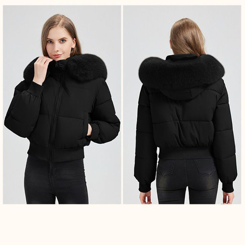 Inverno 2025 Cappotto in stile - Women Fashion Usa recensione e prezzo
